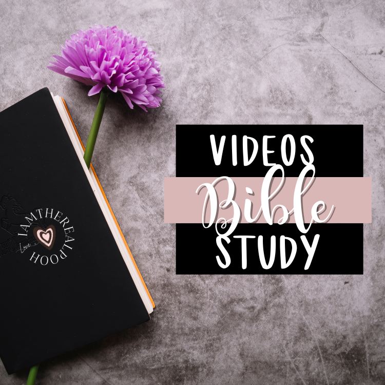 videos for bible study image